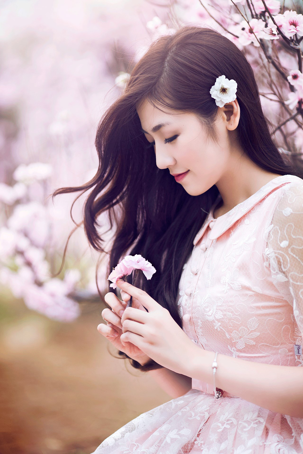 姐姐的朋友3韩国